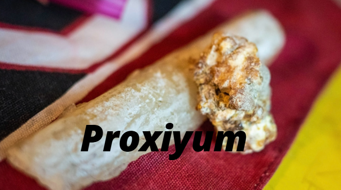 Proxiyum